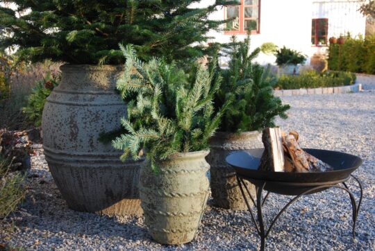 Vaso Knossos stort planteringskärl med julgran utekrukor stora krukor
