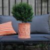 Loungesoffa Divano 2 och 3-sits - Bild 9