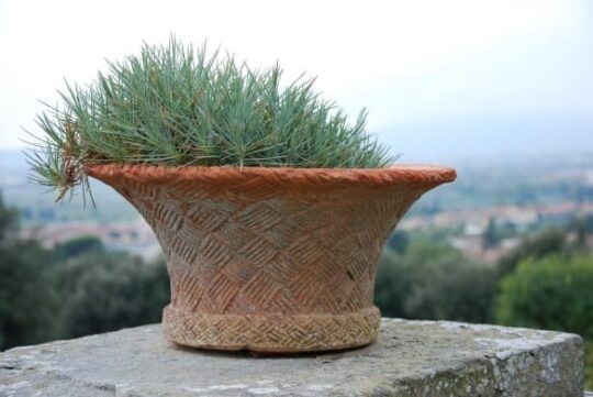 Italiensk kruka Terracottakruka Italien Paniera Vimini Impruneta cadabra