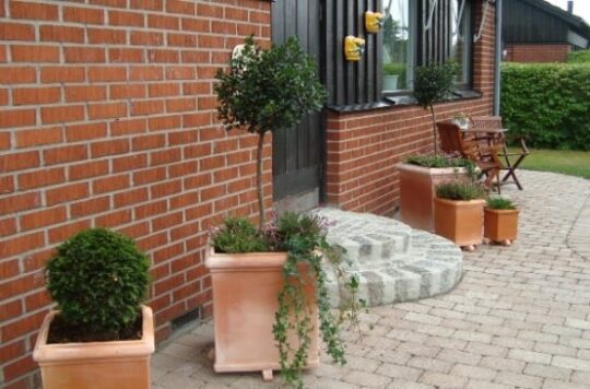 Fyrkantig kruka Pilone Liscio terrakotta