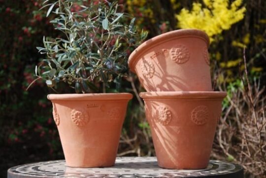 Italiensk mindre terracottakruka Vaso con Rosette handgjord i Impruneta Florens Italien