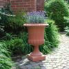 Vaso Mediceo Liscio - Bild 2