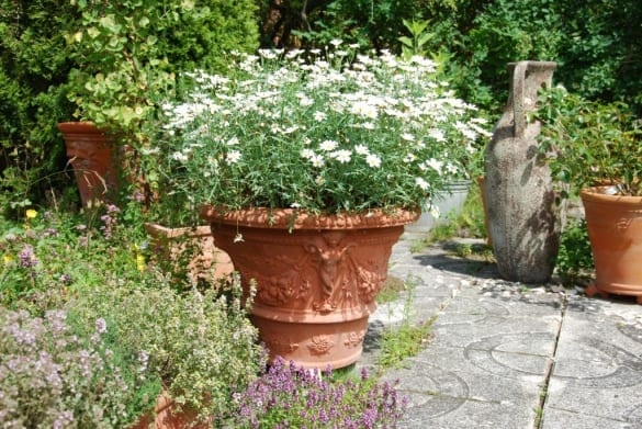 Vaso Ornato con Cariatidi - Bild 2
