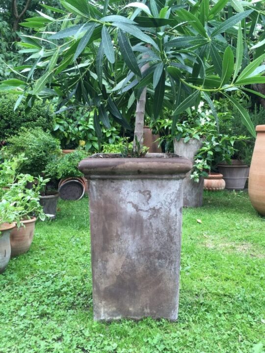 Hög fyrkantig kruka pilone liscio terrakotta