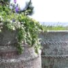 Stor Urna - Knossos Antique - Bild 7