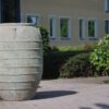 Maximus Antique - Bild 4