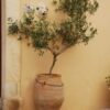Stor urna Minoan - Bild 3