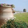 Cadabra Minoan stora urnor och pithos i handdrejad terracotta