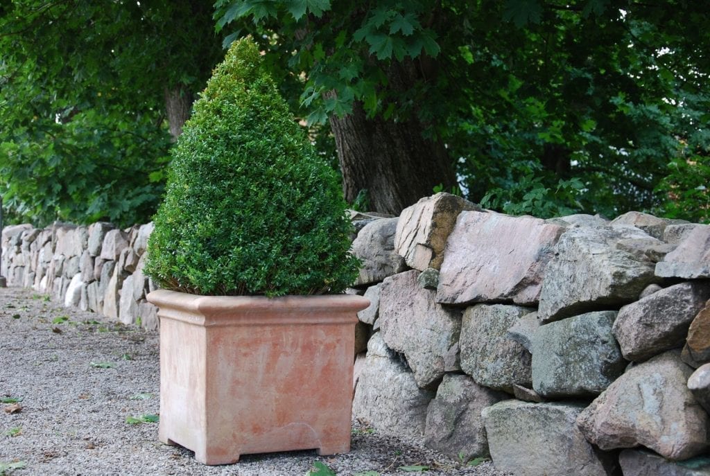 Fyrkantigt planteringskärl och Italiensk terrakottakruka pilone liscio