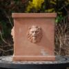 Quadrato teste leone fyrkantig terrakottakruka med lejon från Italien och Cadabra