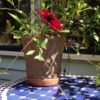 Vaso Rombo - Bild 3
