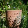 Vaso Diana - Bild 5