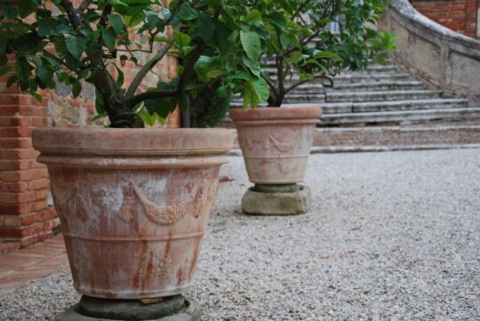Terrakottakrukor Vaso Festonato frosttåliga Italienska utekrukor