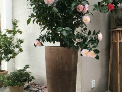 Hög Kruka Höga Krukor hög terrakottakruka