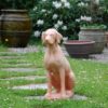 Hundstaty i Terrakotta - Bild 2