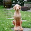 Hundstaty i Terrakotta - Bild 3