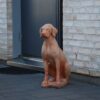 Hundstaty i terrakotta från Italien